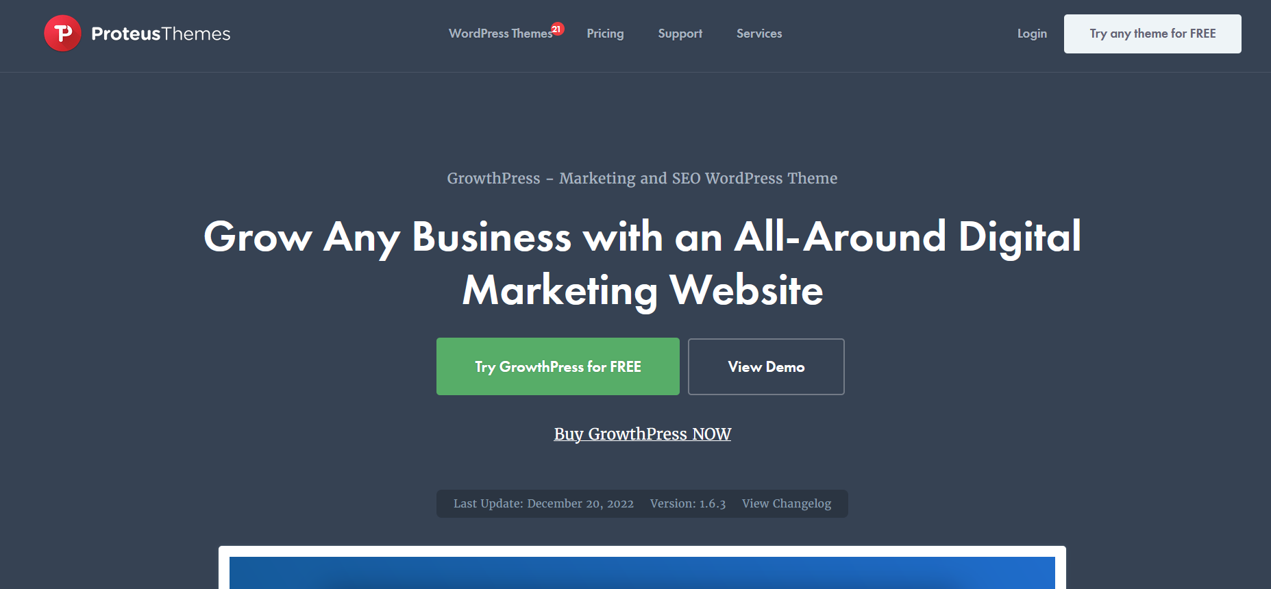WordPress theme for business websites