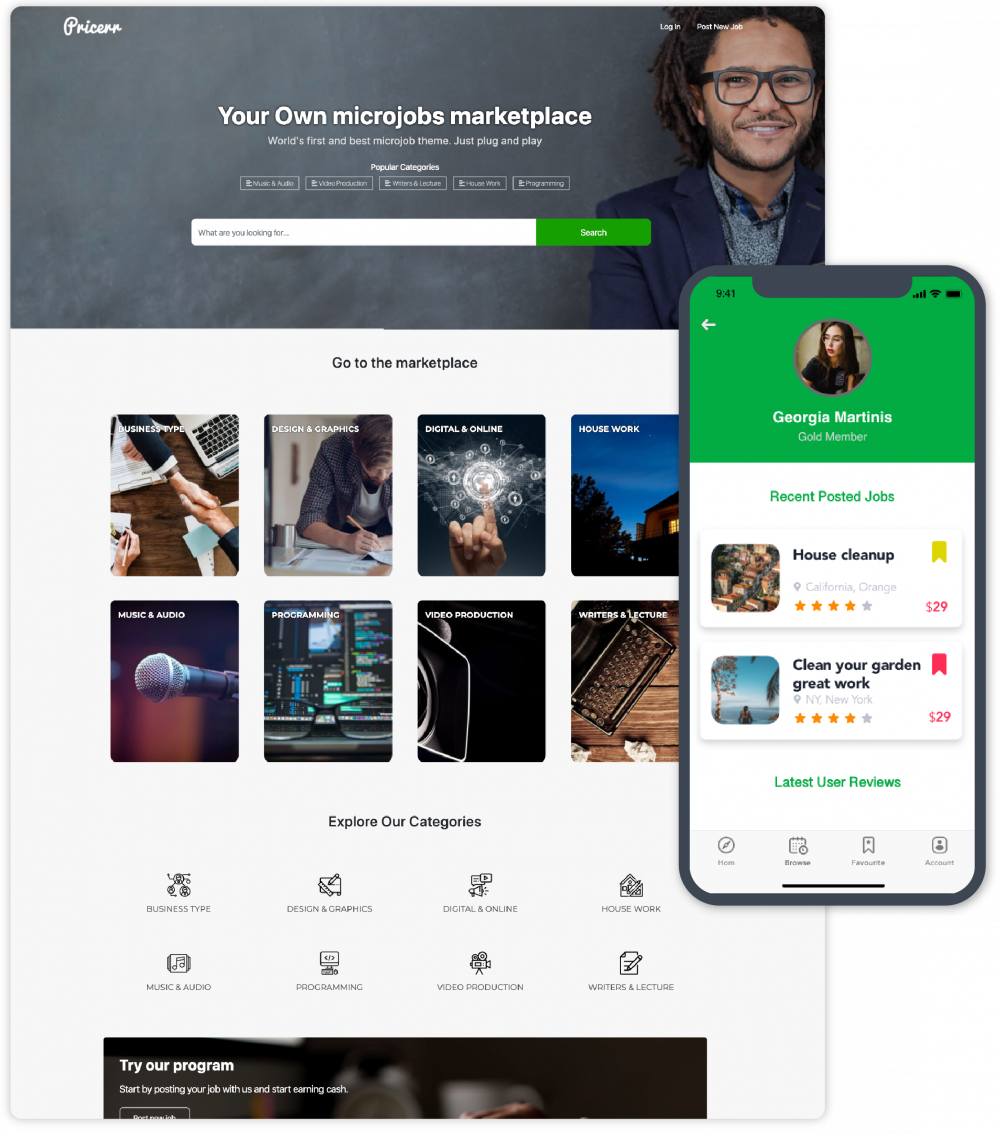 popular wordpress theme