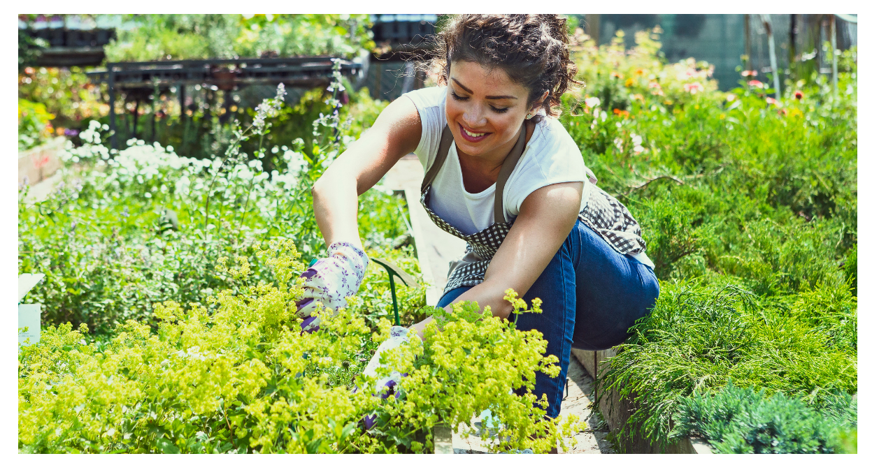 get paid for your gardening service